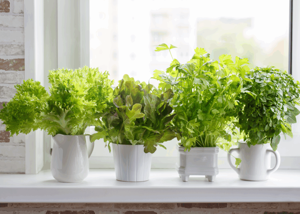 Harvest to plate kitchen inspiration